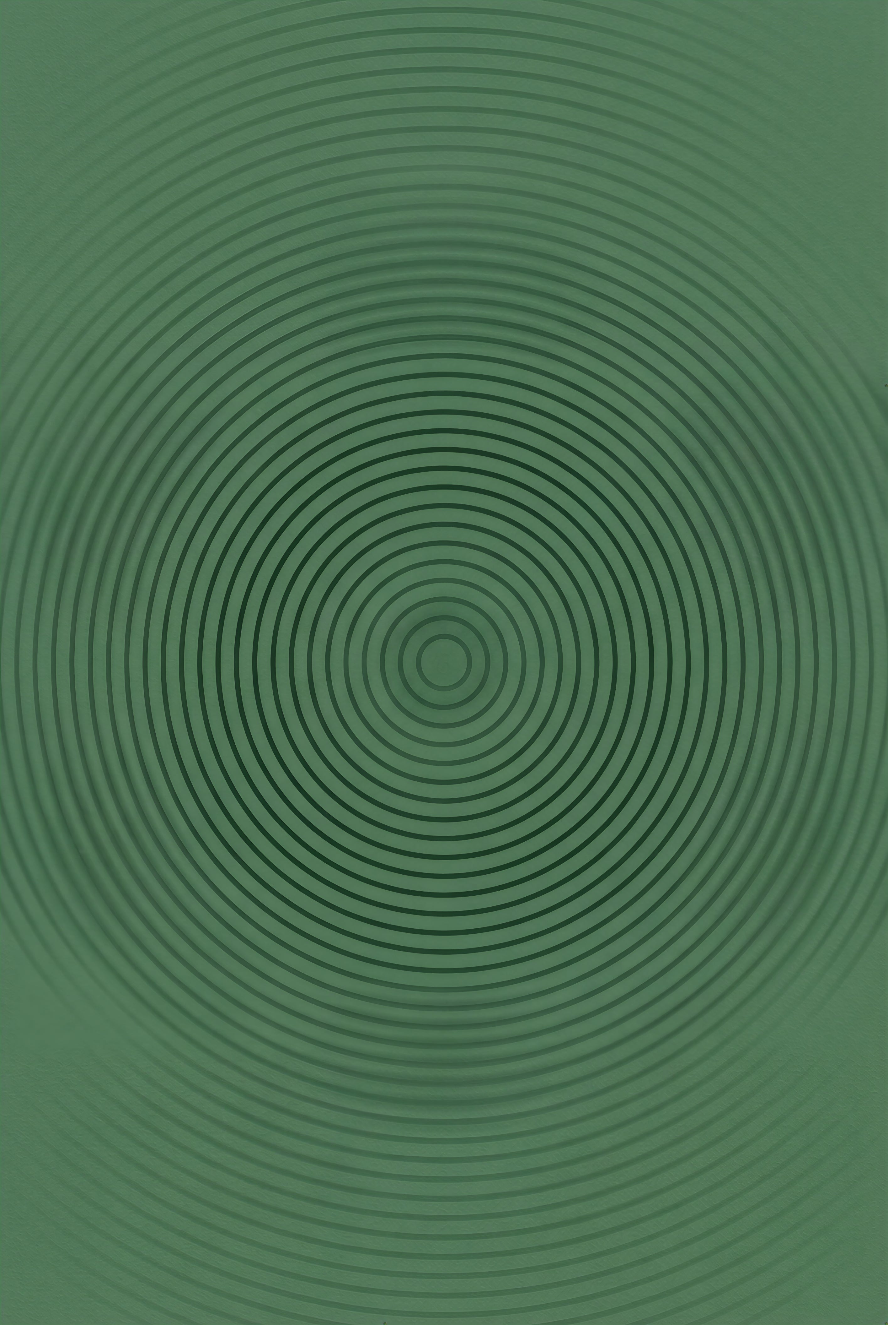 Concentric Echoes